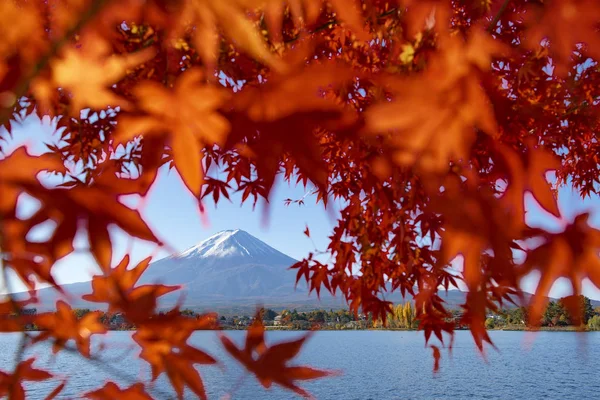 Monte Fuji Arce Rojo Lago Kawaguchiko Japón Otoño — Foto de Stock