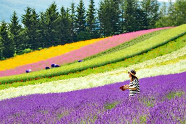 Japonya - 28 Temmuz 2019: Kadın turistler yazın Tomita Çiftliği, furano, Hokkaido, Japonya 'da Renkli Çiçek ve Lavanta Tarlası' nı gezmenin keyfini çıkarıyorlar