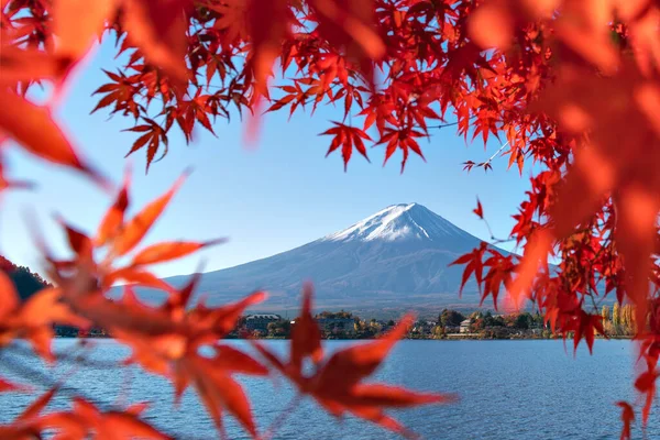 Montaña Fuji Marco Hojas Arce Rojo Otoño Lago Kawaguchiko Japón — Foto de Stock