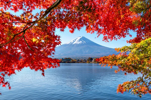 Fuji Mountain Reflection Red Maple Leave Autumn Kawaguchiko Lake Japan — Foto de Stock