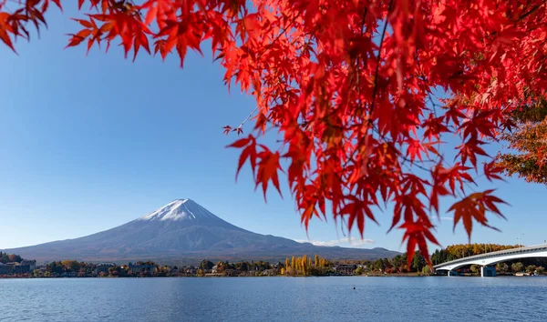 Montaña Fuji Con Hojas Arce Otoño Lago Kawaguchiko Japón — Foto de Stock
