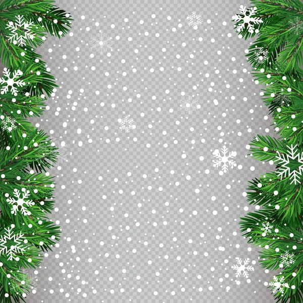Kerstboom Met Mooie Verlichting Branch Geïsoleerd Vectorillustratie Mooie Achtergrond — Stockvector