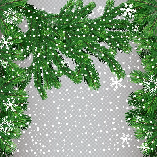 Árvore Natal Com Belas Luzes Ramo Isolado Ilustração Vetorial Belo — Vetor de Stock