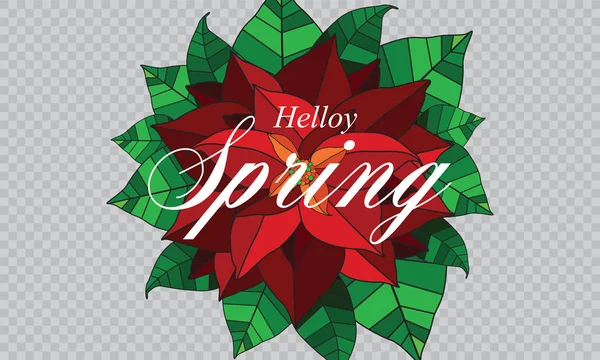 Fresh spring background flower with beautiful petals. Spring tamatika. Bright beautiful flower.