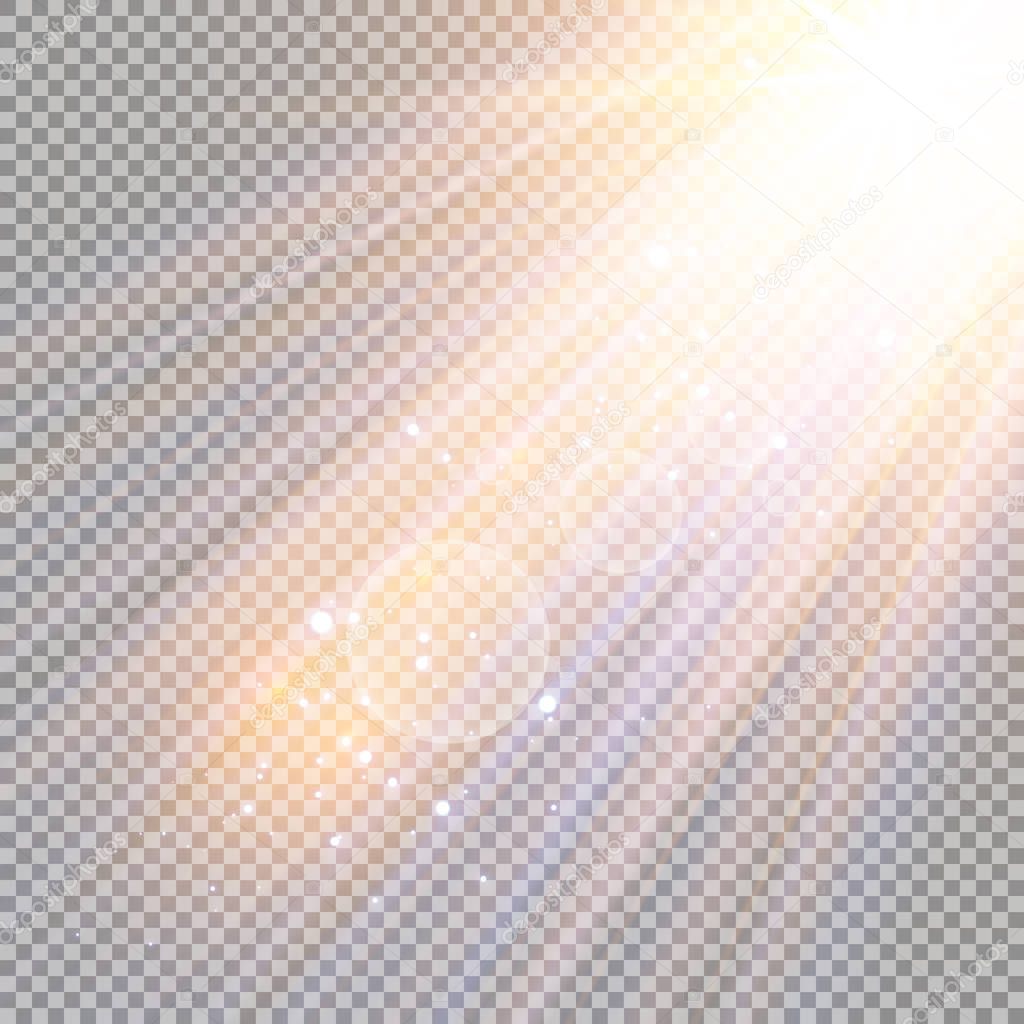 Vector transparent sunlight special lens flare light effect.  Sparkling magic dust particles