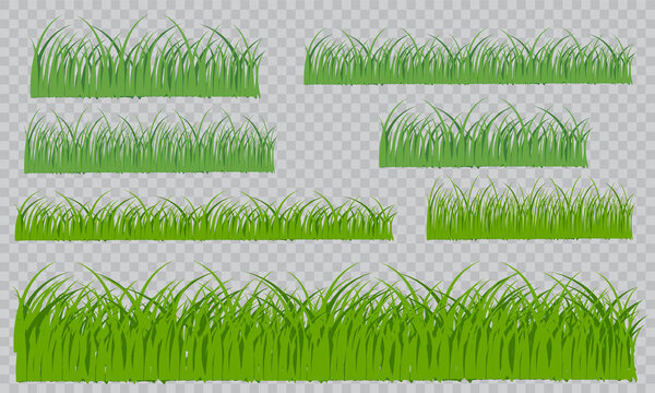 Green grass on a transparent background. Glade in the forest grass. Vector illustration on a light background.