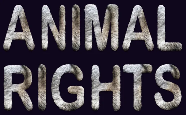 動物の権利という言葉は毛皮の入った大文字で書かれています アニマリズム ビーガンライフ 倫理的非暴力活動 ロイヤリティフリーのストック写真