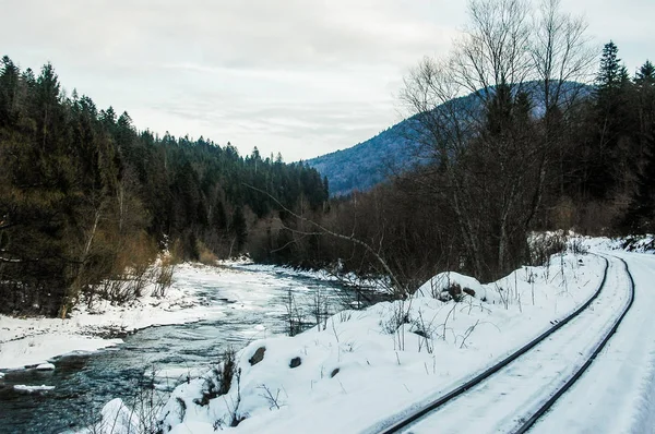 Winter mountain landscape in gloomy day