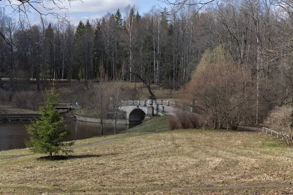  Pavlovsk Park sadece Rusya'nın aynı zamanda Avrupa'nın en iyi manzara Parklar biri olarak kabul edilir. Çok güzel bir yer Slavyanka Nehri'nin pitoresk bir vadide yer alır.