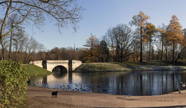 Bir ana konumlar Gatchina şehir Peyzaj Park ensemble Palace Park, XVIII yüzyıl sonlarında oluşturulan.