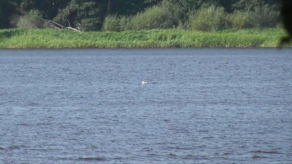 Viaggio Nella Natura Resort Russia Regione Tver Fiume Volga Karacharovo — Foto Stock