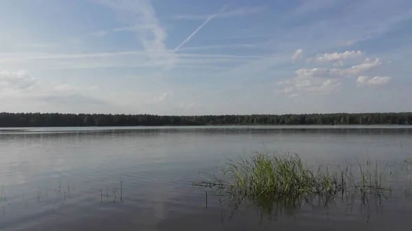 Voyage Dans Nature Station Balnéaire Russie Région Tver Volga River — Photo