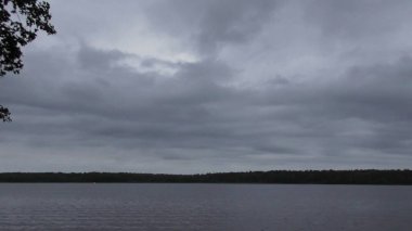 Nehir Volga, Rusya, Tver bölgesi, doğa Karacharovo, 2017