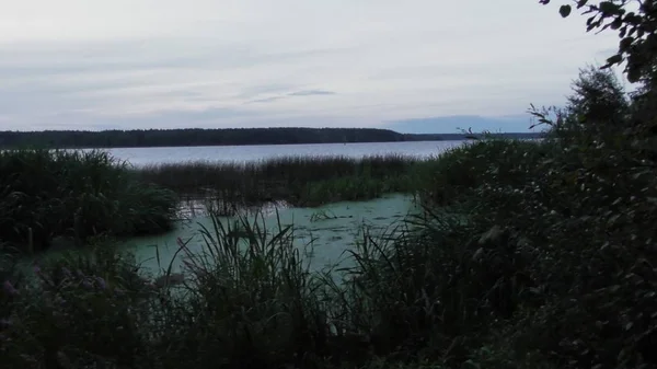 Natureza Rio Volga Rússia Região Tver Karacharovo 2017 — Fotografia de Stock