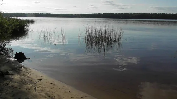 Natura Del Fiume Volga Russia Regione Tver Karacharovo 2017 — Foto Stock