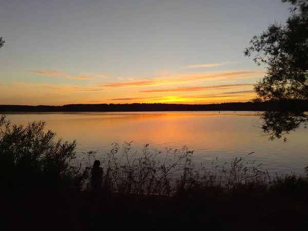 Natura Rzeka Wołga Rosji Tver Region Karacharovo 2017 — Zdjęcie stockowe