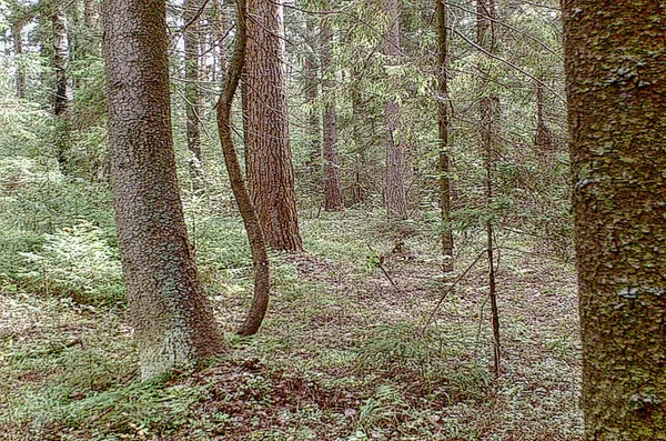 Turystyka Brzegu Namiotów Łodzie Rosja Tver Region Wołgi Wieś Harlovo — Zdjęcie stockowe