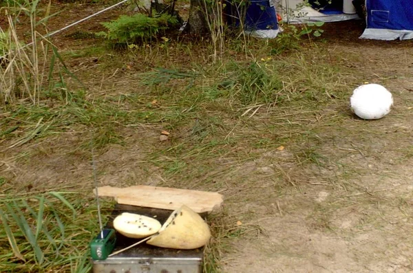 Cestovní Ruch Pobřeží Stany Lodě Rusko Severozápadní Oblast Tver Řeky — Stock fotografie