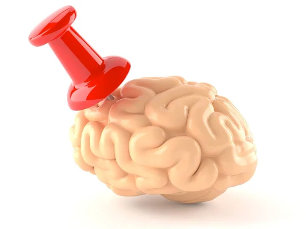 Cervello con puntina — Foto Stock