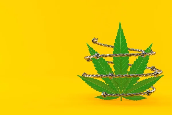 Cannabisblad Med Taggtråd Isolerad Orange Bakgrund Illustration — Stockfoto