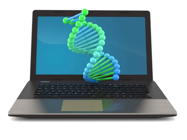 Dna Com Laptop Isolado Fundo Branco — Fotografia de Stock