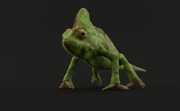 Chameleon Stojí Šedém Pozadí Šedém Pozadí Ilustrace — Stock fotografie