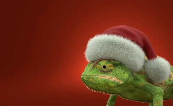 Caméléon Avec Chapeau Père Noël Sur Fond Rouge Illustration — Photo