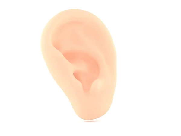 Ucho Odizolowane Białym Tle Ilustracja — Zdjęcie stockowe