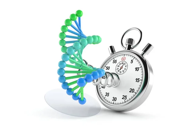 Dna Mit Stoppuhr — Stockfoto