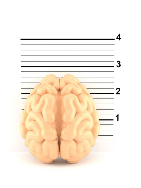 Brain Mugshot Isolated White Background Illustration — Stock Photo, Image