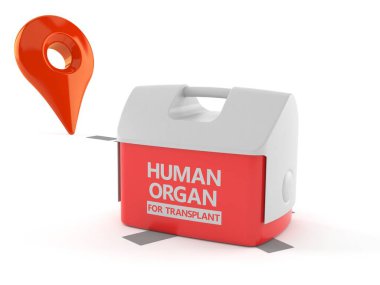 Konum işaretleyicili insan organı için soğutucu