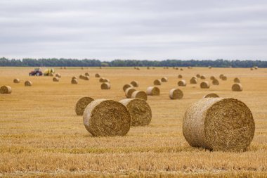 Saman bir arka plan üzerinde bir traktör ile uzun bir odak üzerinde bulutlu bir gökyüzüne karşı bir çayır üzerinde rulo
