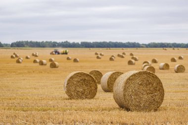 Saman bir arka plan üzerinde bir traktör ile uzun bir odak üzerinde bulutlu bir gökyüzüne karşı bir çayır üzerinde rulo