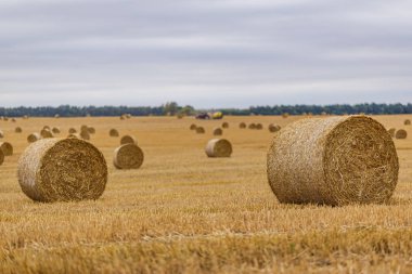 Saman bir arka plan üzerinde bir traktör ile uzun bir odak üzerinde bulutlu bir gökyüzüne karşı bir çayır üzerinde rulo
