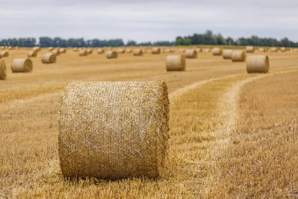 Hay roll on a meadow against a cloudy sky on a long focus — Stock Photo, Image