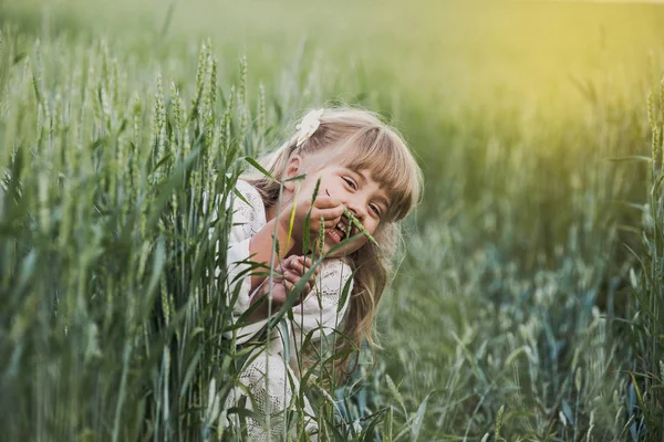 Glückliches Kleines Mädchen Auf Grünem Weizenfeld — Stockfoto