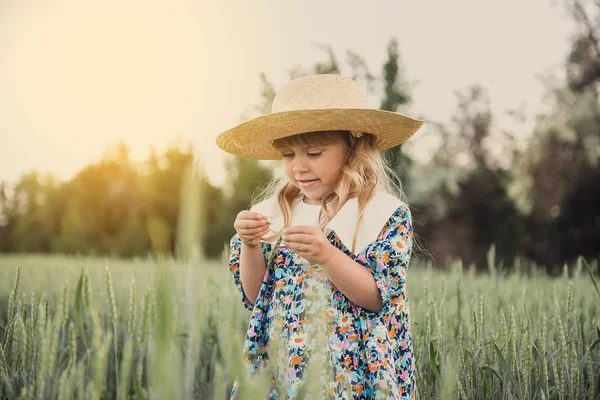 Gelukkig Meisje Groene Tarweveld — Stockfoto