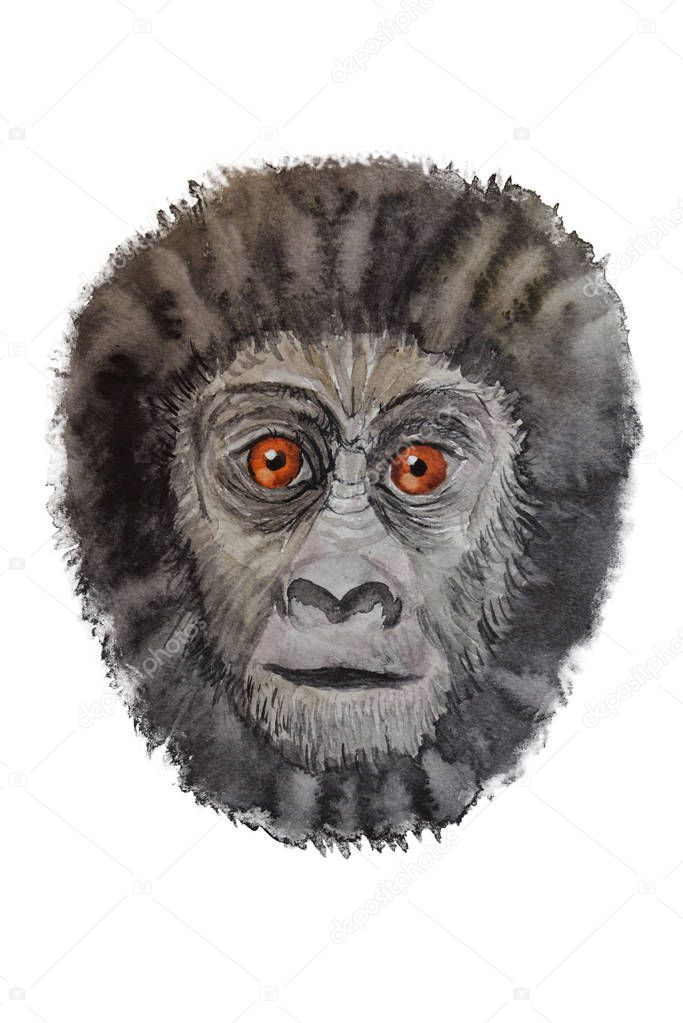 Portrait of a gorilla watercolor