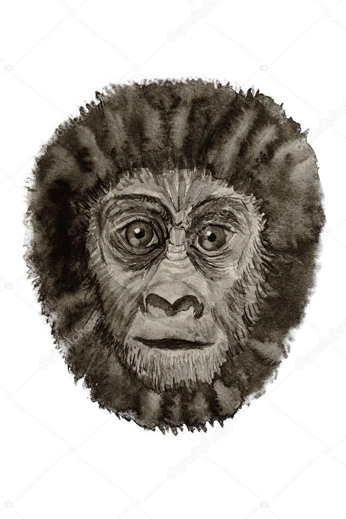 Portrait of a gorilla watercolor