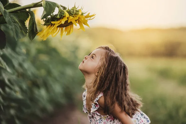 Kind Zonnebloem Zomer Natuur Leuk Zomervakantie Meisje Snuiven Een Zonnebloem — Stockfoto