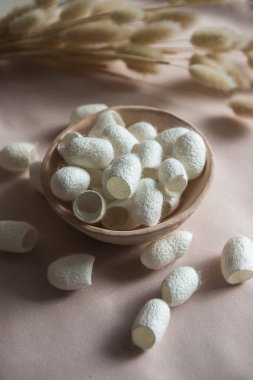 İpekböceği koza kozmetik içinde. Koza beyaz