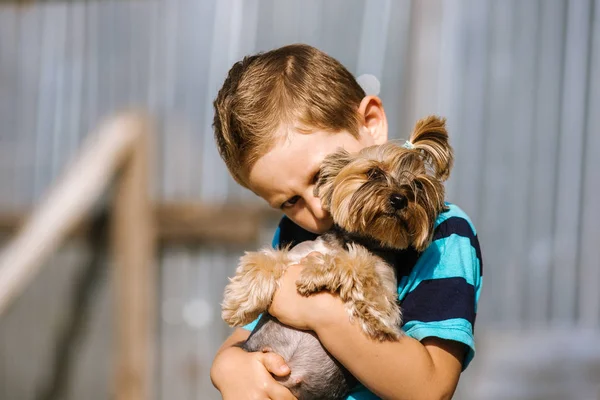 Porträtt Pojke Med Yorkshire Terrier Hund Promenad Barn Pet Vänskap — Stockfoto