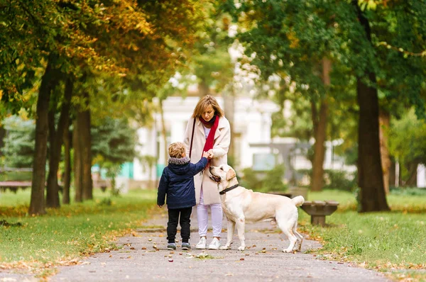 Семья, домашнее животное, домашнее животное и люди - счастливая семья с лабрадором-ретривером, выгуливающим собаку в осеннем городском парке — стоковое фото