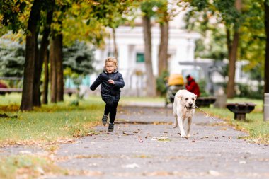 Küçük çocuk çalış, köpeğiyle Labrador parkta sonbaharda çalışır