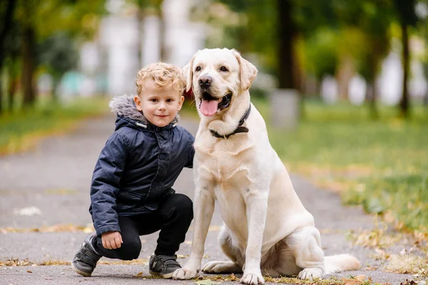 Retrato de bonito menino pequeno caucasiano adorável sentado com cão no parque do lado de fora. Sorrindo criança segurando animal de estimação doméstico. Conceito de infância feliz — Fotografia de Stock