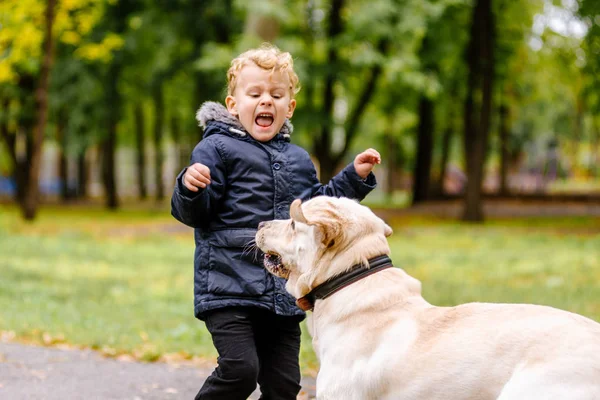 Çocuk köpekten korkar