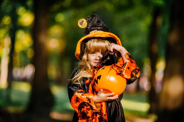 Fijne Halloween. Leuke kleine heks met een pompoen in de handen. — Stockfoto