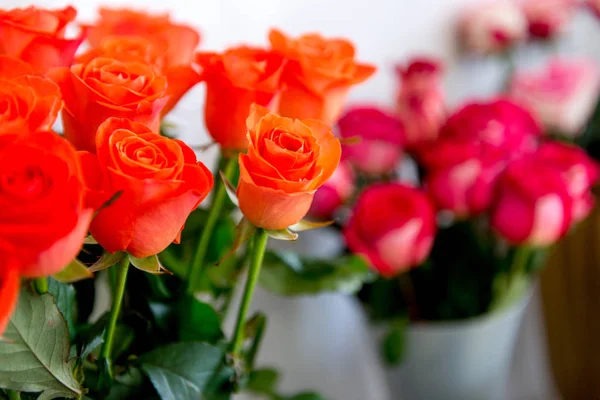 Flores y arreglos recién cortados en la tienda de la floristería, tiro de seguimiento — Foto de Stock