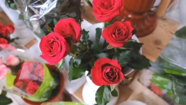 Φρέσκα κομμένα λουλούδια και ρυθμίσεις σε ανθοπωλείο, Tracking Shot — Αρχείο Βίντεο