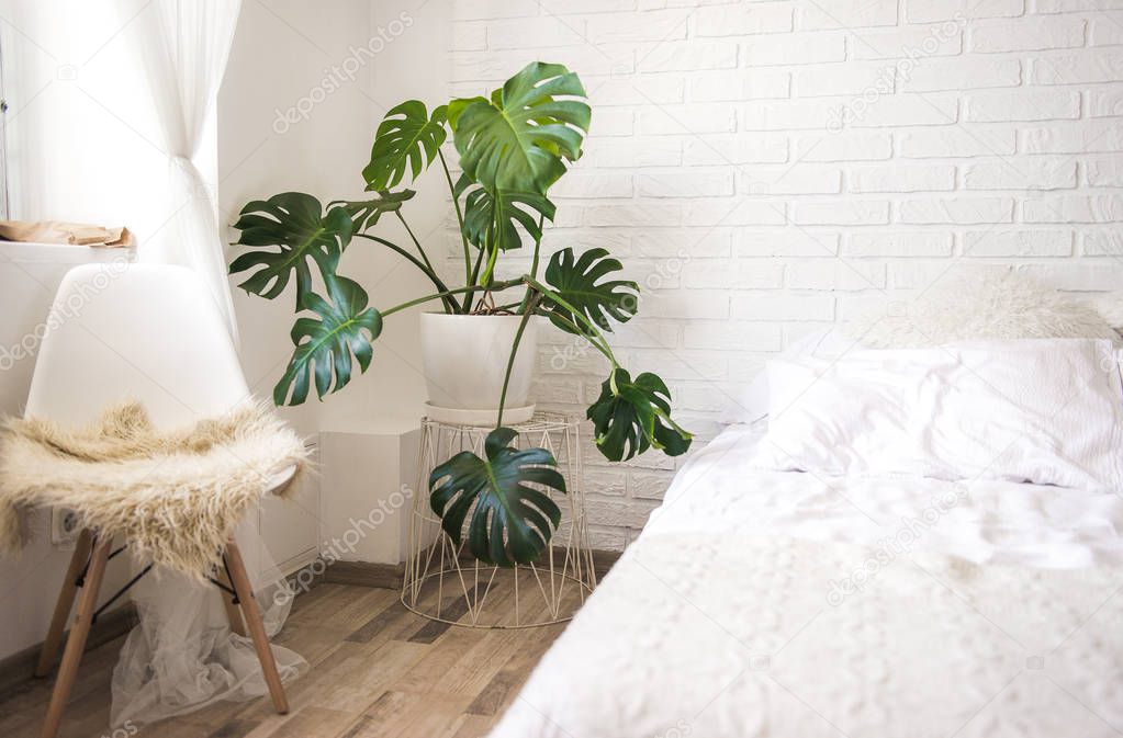 Big bright Scandinavian styled bedroom with white brick wall and wooden floor. Many plants in pots on the floor. Pink crumpled bed linen